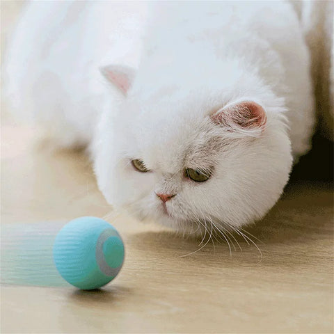 Smart Rolling Cat Ball