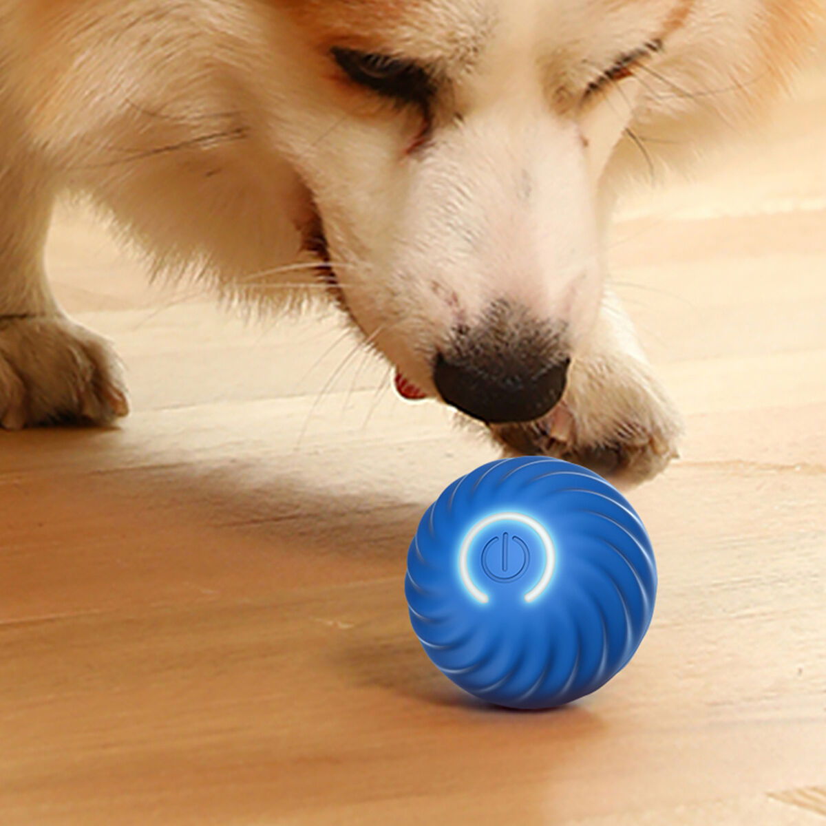 Magic Rolling Ball Dog Cat Toy Happy Paws Australia