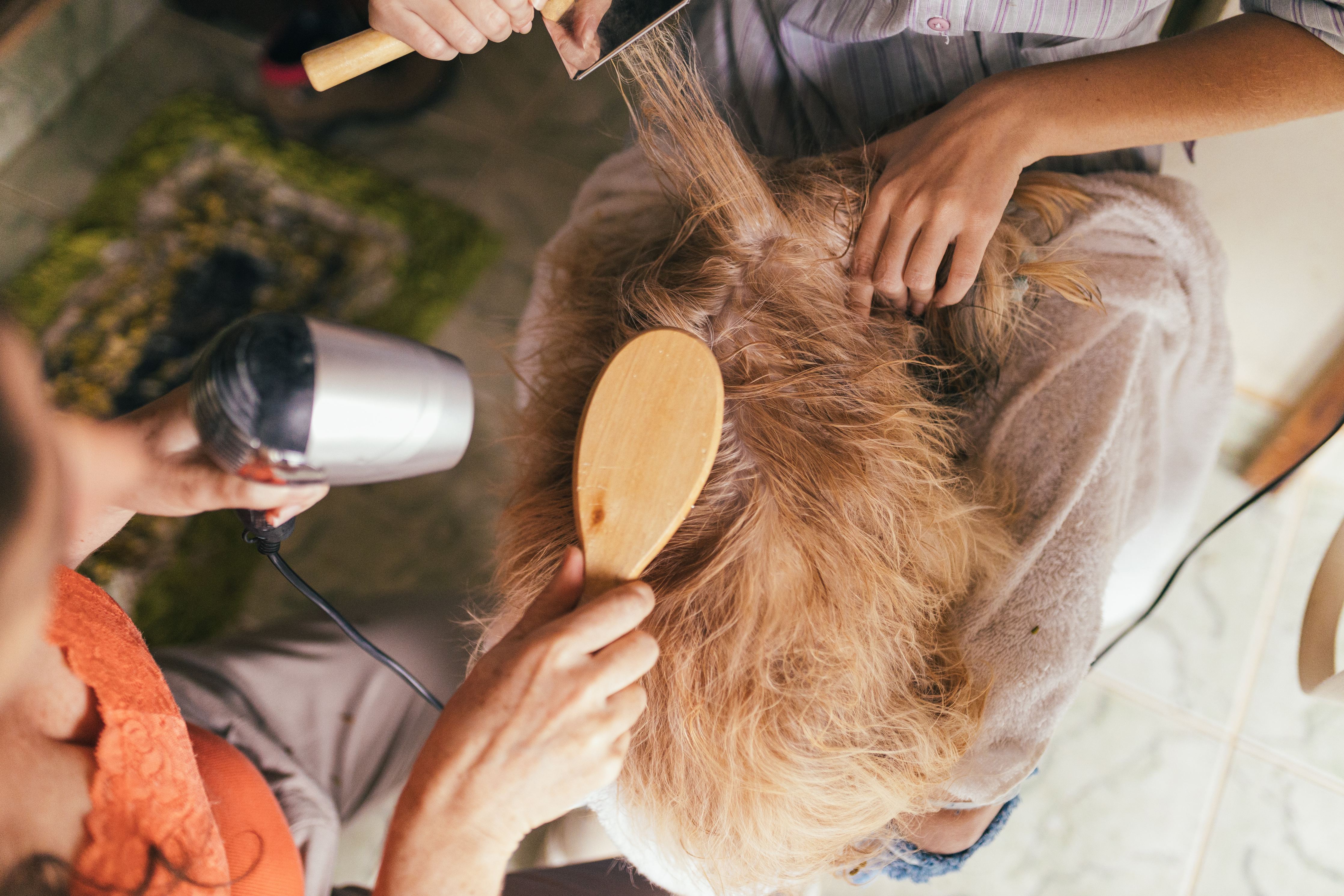 The Importance of Pet Grooming: A Complete Guide