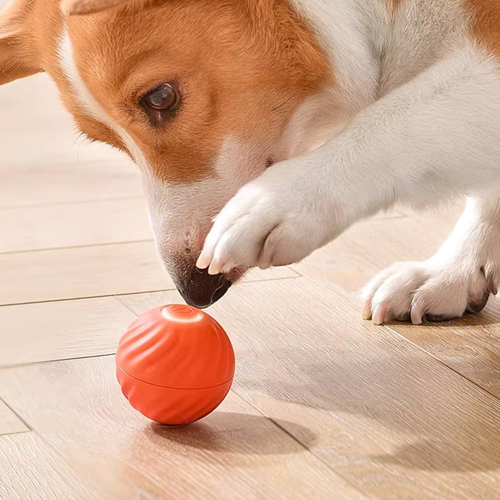 Magic Rolling Ball | Cats & Dogs - Happy Paws Australia 