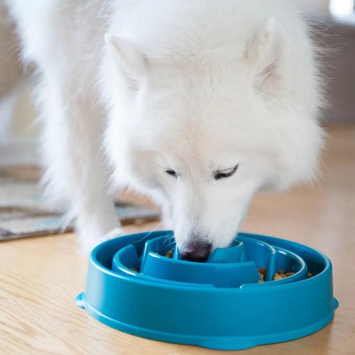 Fun Feeder Slo Bowl - Happy Paws Australia 