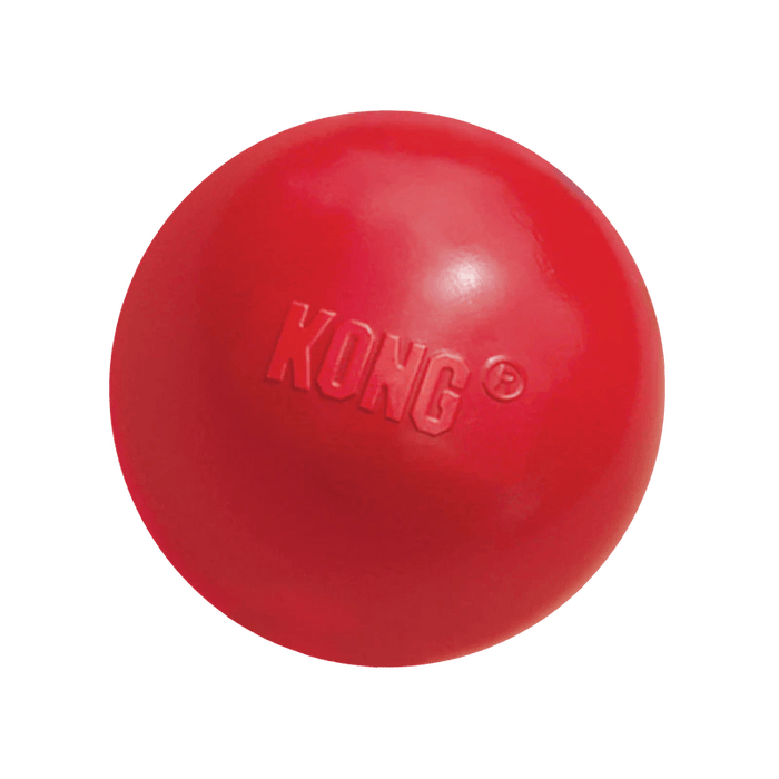 KONG™ Treat Ball - Happy Paws Australia 
