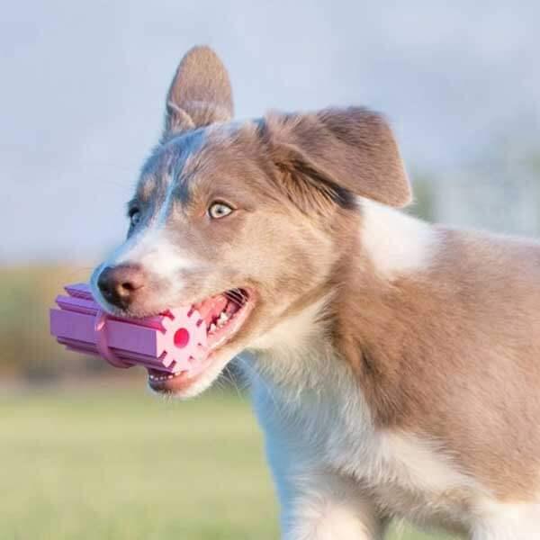 KONG™ Puppy Teething Sticks - Happy Paws Australia 