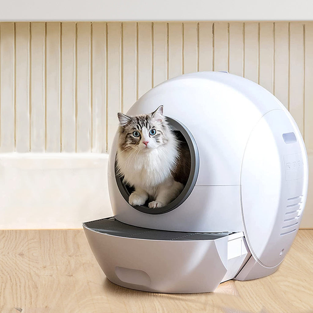 Robot Self Cleaning Litter Box