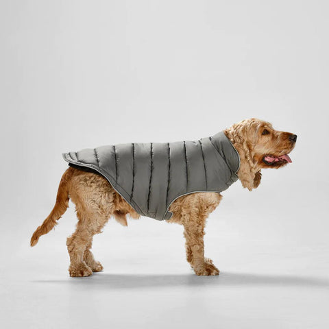 Snooza Dog Puffer Jacket