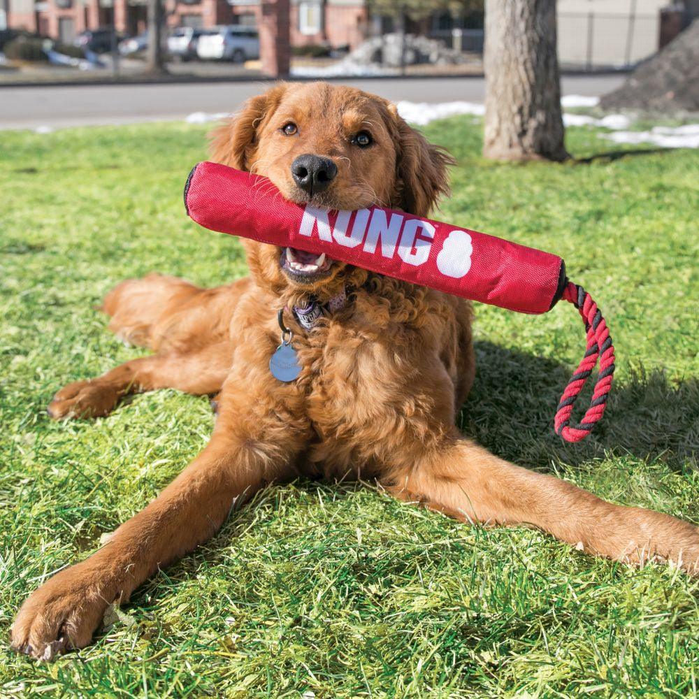 KONG™ Playtime Durable Stick Rope - Happy Paws Australia 