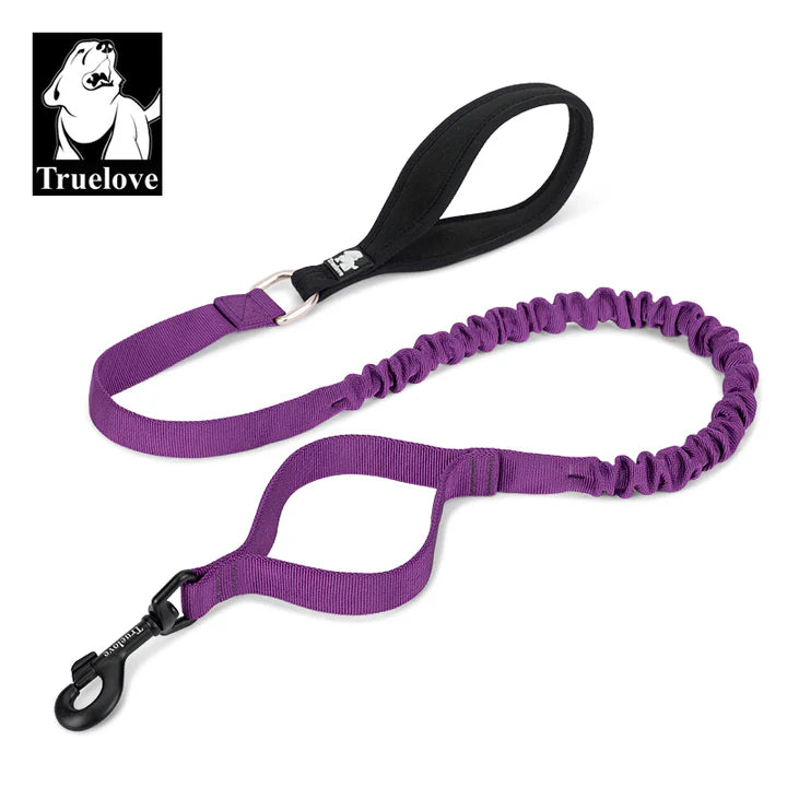 Military Controlling Dog Leash