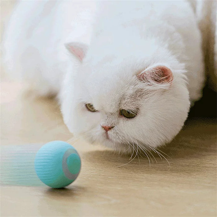 Smart Rolling Cat Ball - Happy Paws Australia 