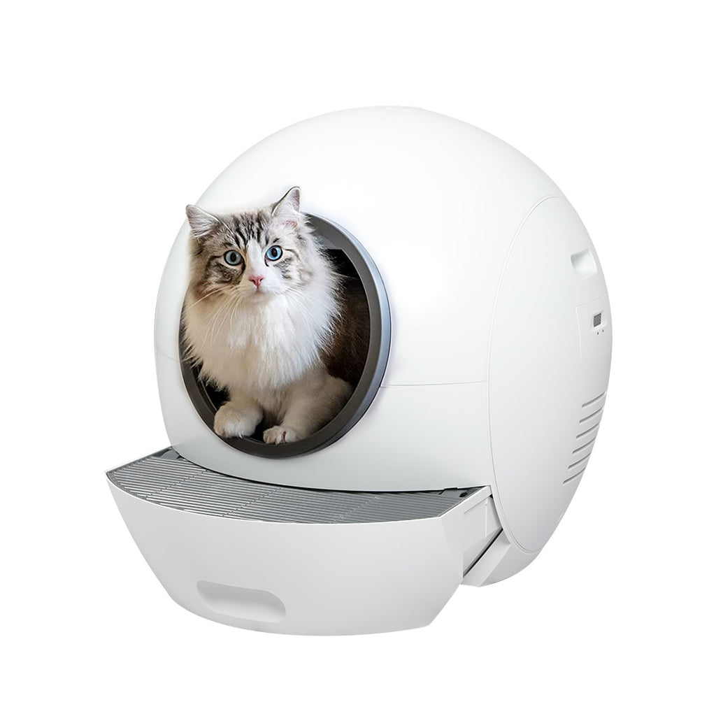 Robot Self Cleaning Litter Box