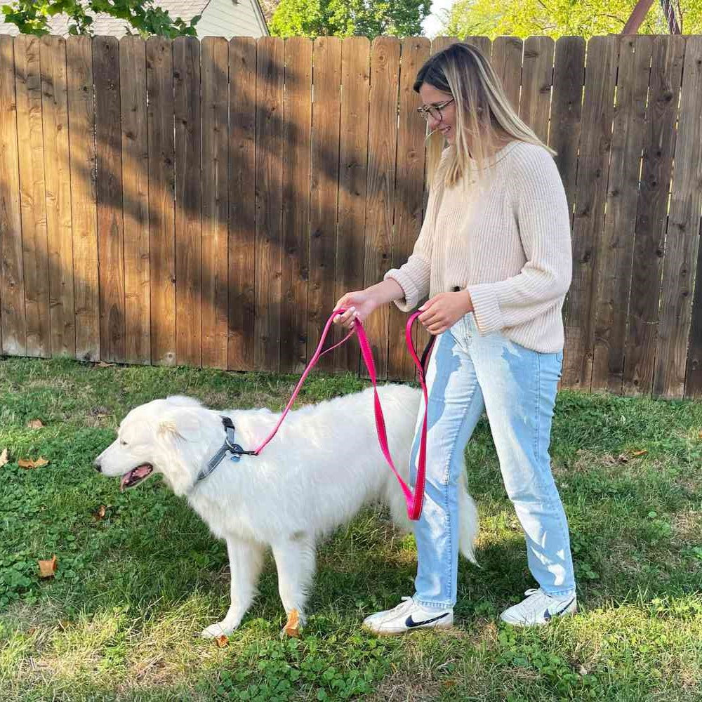 Dual Handle Dog Leash