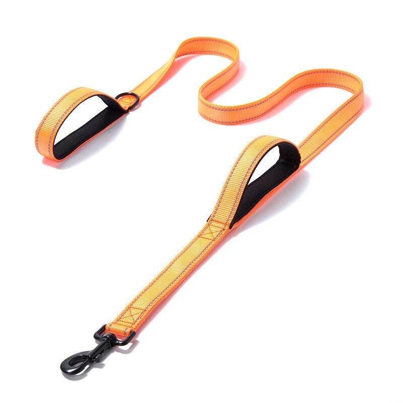 Dual Handle Dog Leash