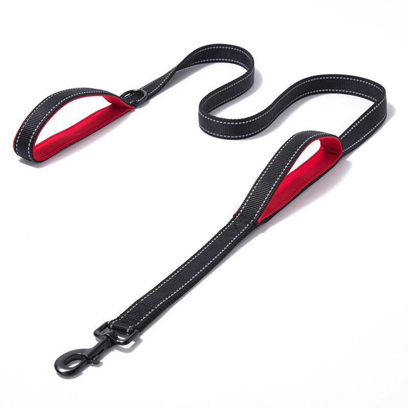 Dual Handle Dog Leash