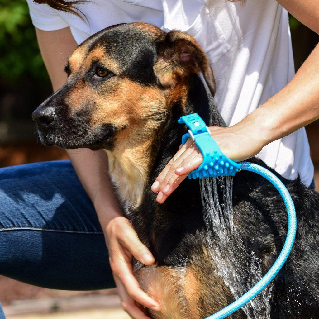 Person washing dog with the Premium Pet Bathing Tool