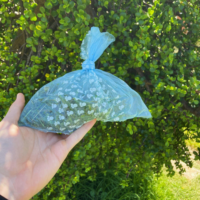 Biodegradable Pet Waste Bags - Eco Friendly - Happy Paws Australia 