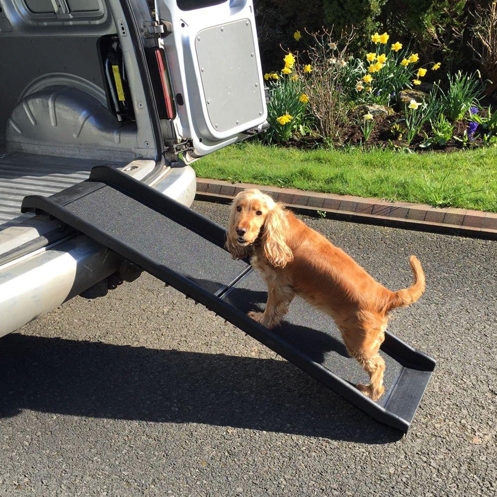 Golden dog entering the car using the Foldable Dog Ramp