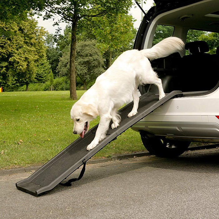 White dog existing a car using the Foldable Dog Ramp 